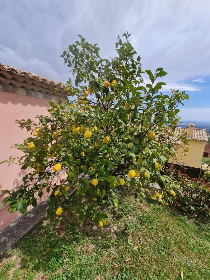 Superbe Villa Côte d'Azur Piscine chauffée Cabris Exterior foto